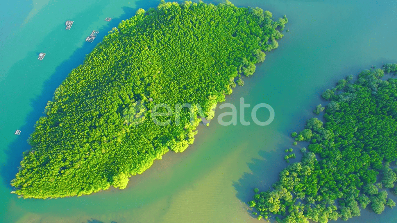 Green mangrove forests islands