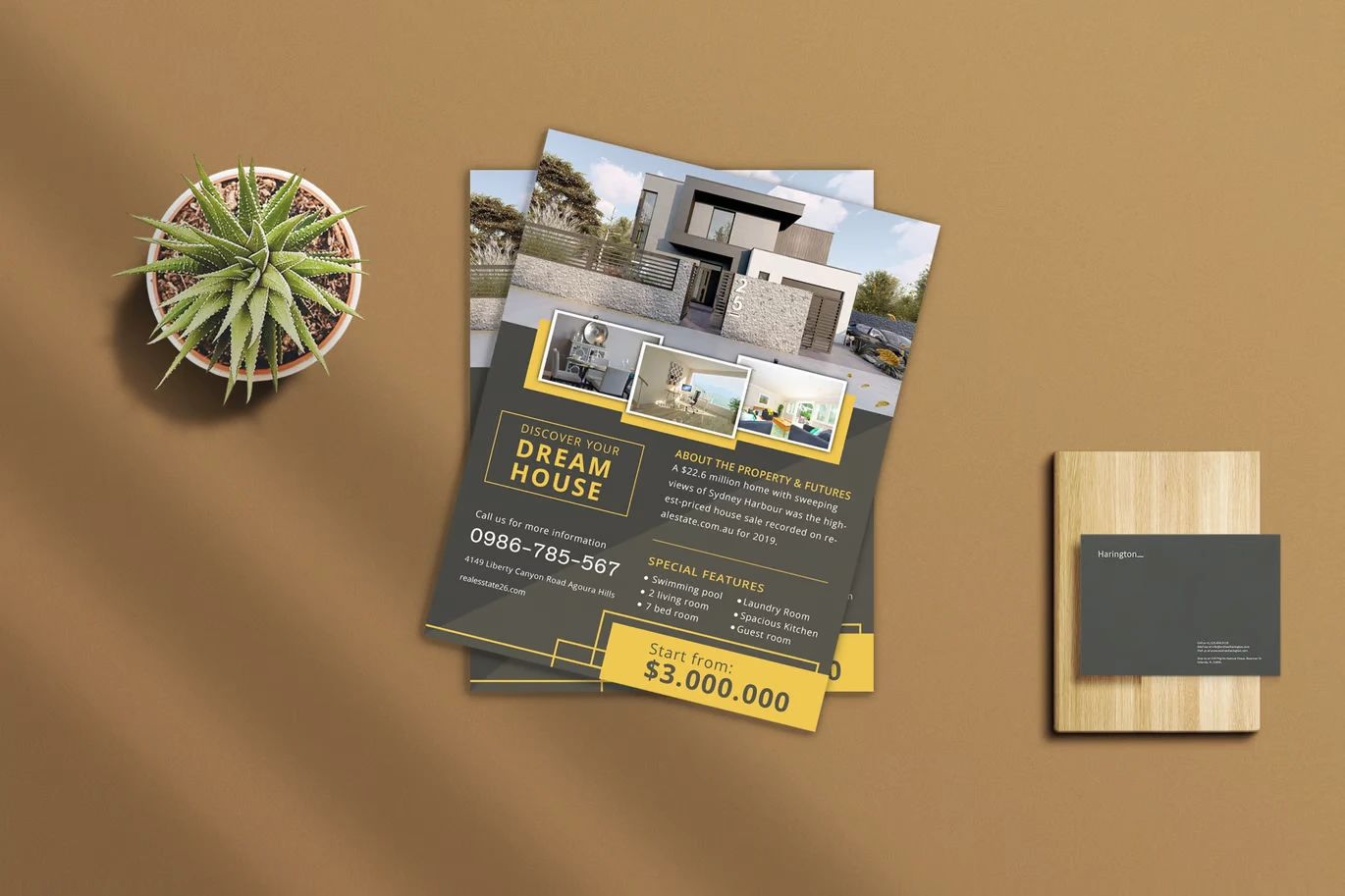 Real Estate Flyer 4