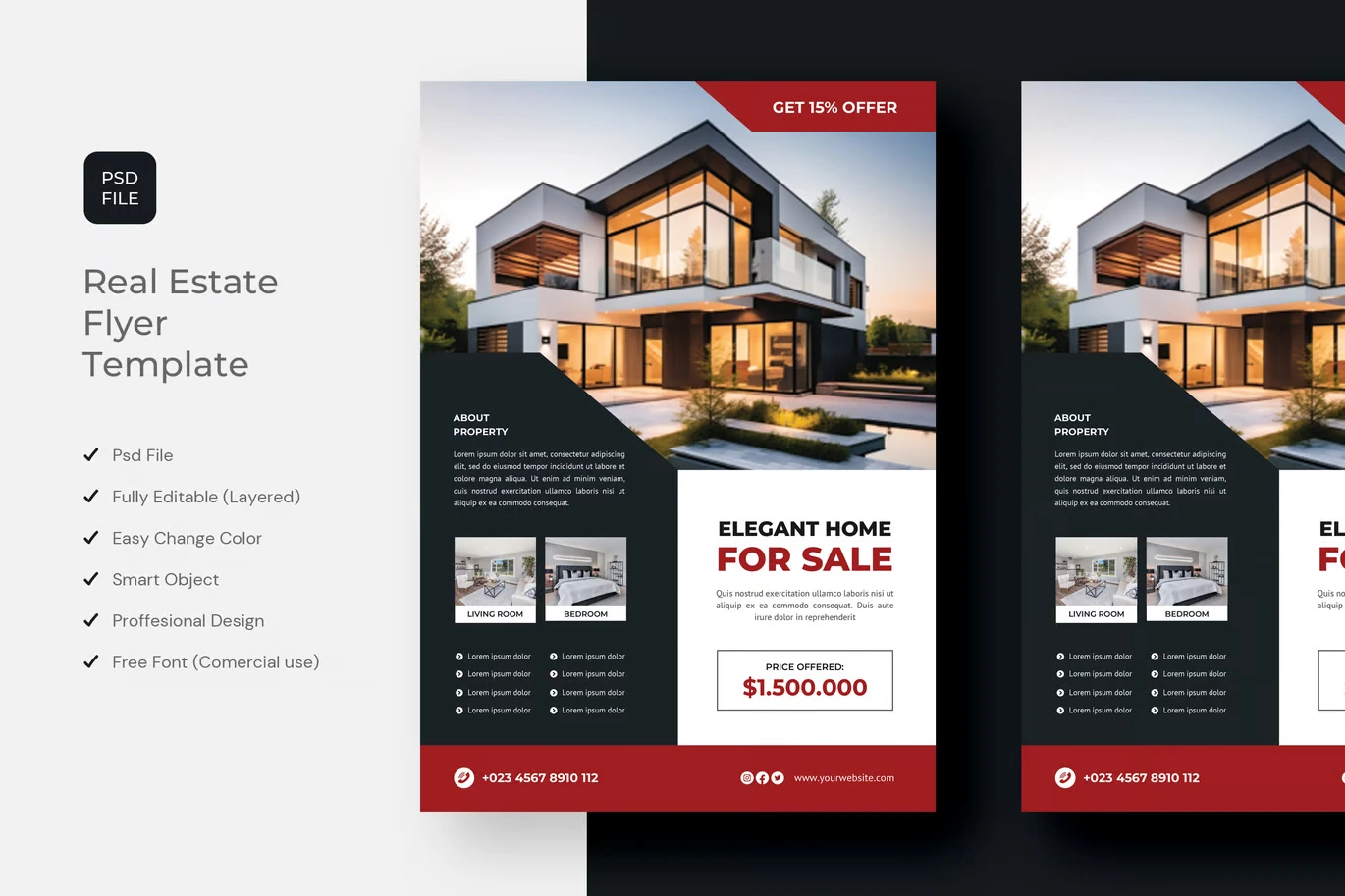 Real Estate Flyer