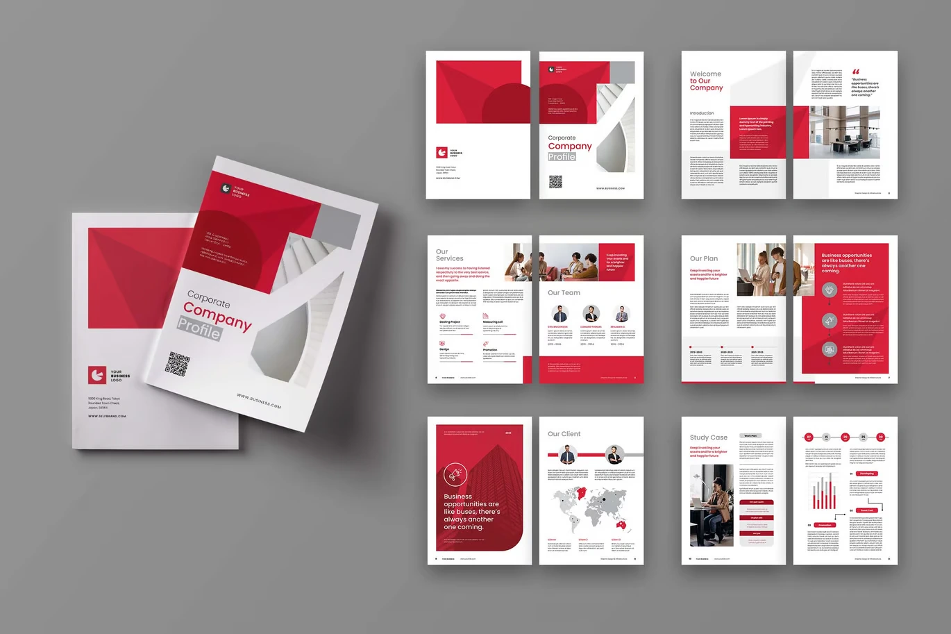 Company Profile